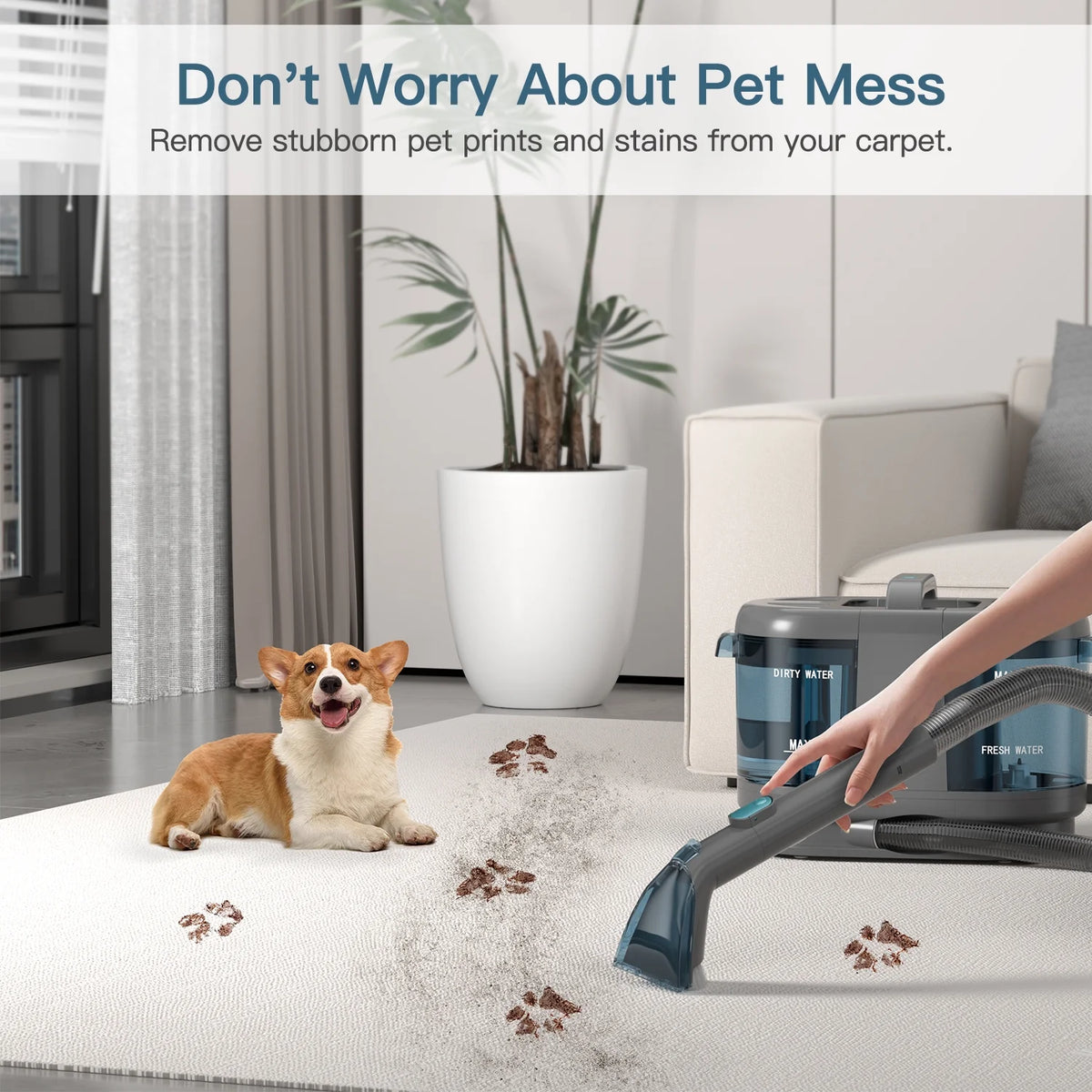 Cordless Portable Carpet Shampooer,Pet Stain Remover,Car Cleaner and Auto Detailer PC808
