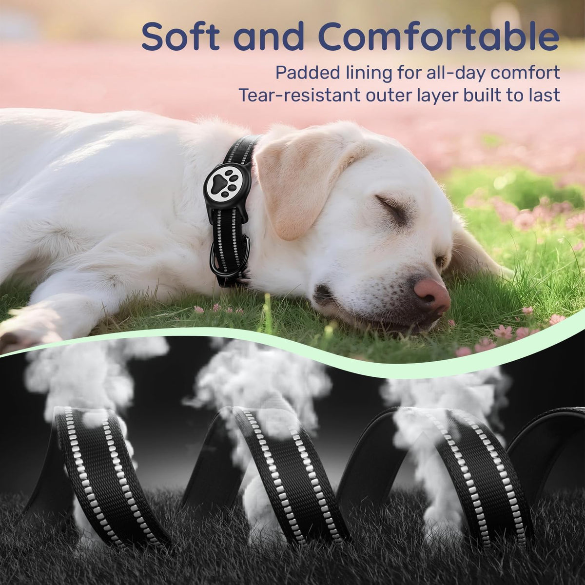 Premium Airtag Dog Collar，With IP68 Waterproof Airtag Holder,Black,S