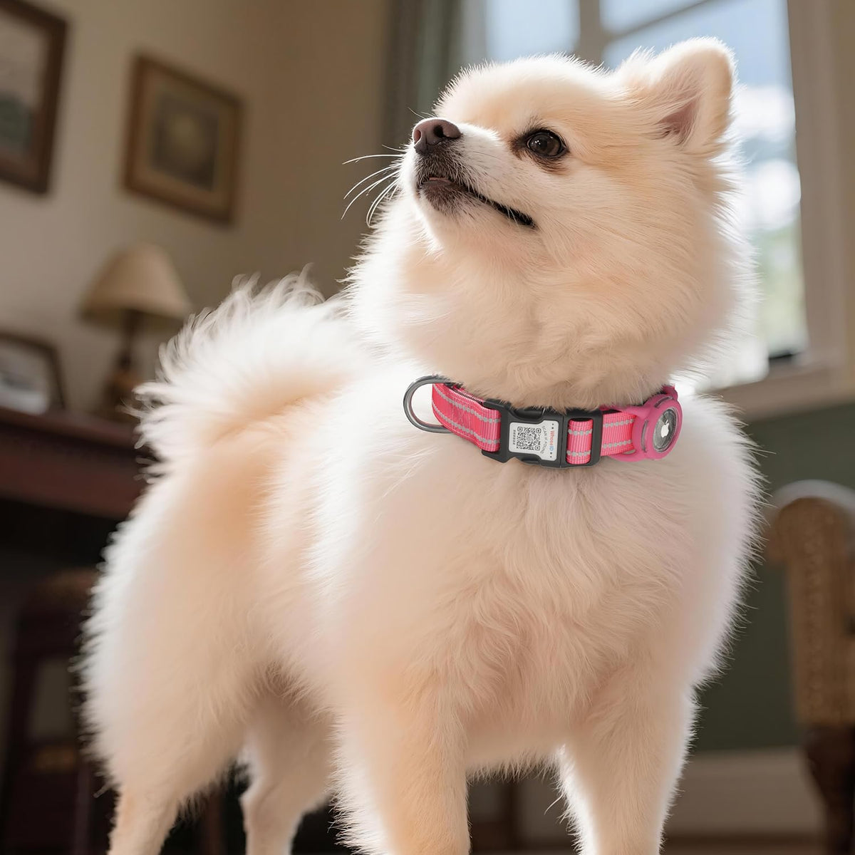 Airtag Dog Collar for Large Dogs, Reflective Dog Collar with Airtag Holder