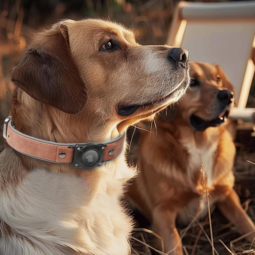 Leather Airtag Dog Collar, Waterproof Dog Collar with Air Tag Holder