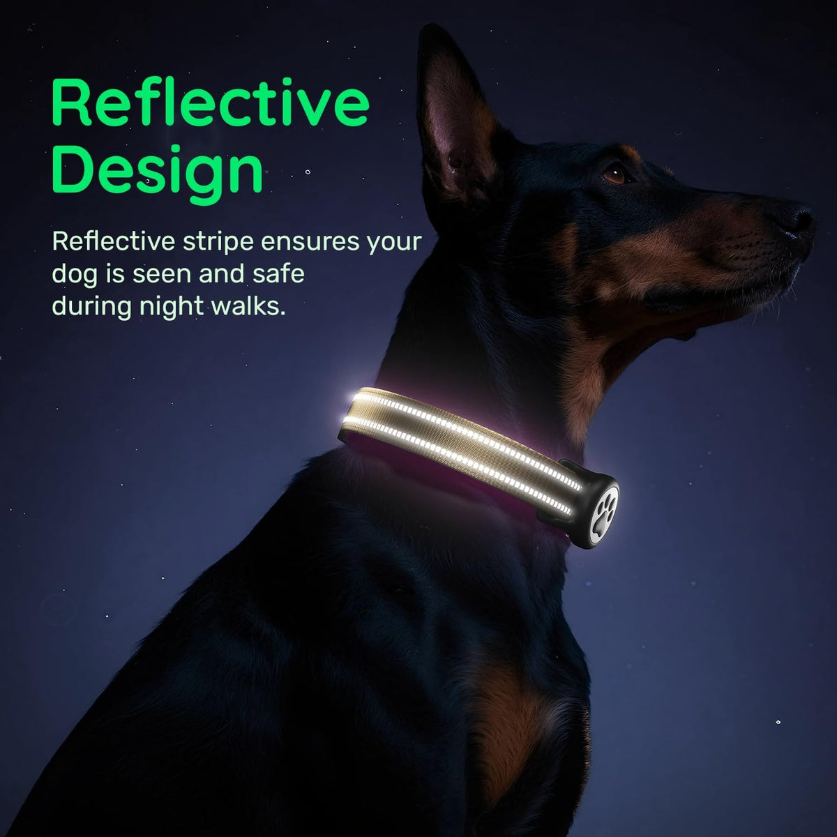 Premium Airtag Dog Collar，With IP68 Waterproof Airtag Holder,Brown,M