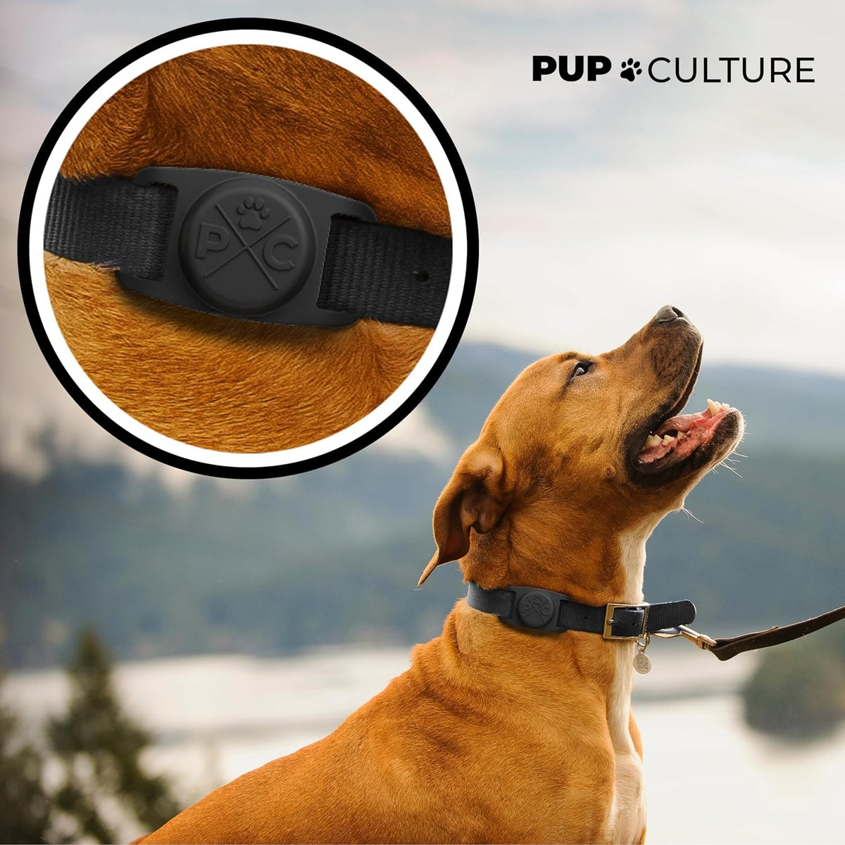 Compatible with Airtag Dog Collar Holder | Durable Protective Case to Help Track Your Pup | for Dog & Cat Collars - Black 1.5In