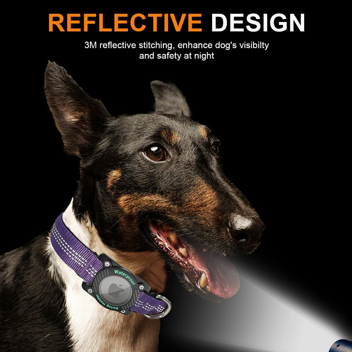 Nylon Dog Collar with Airtag Holder, IPX8 Waterproof, Purple, M