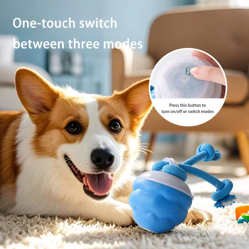 Interactive Electronic Dog Toy Ball with Automatic Movement and Bouncing Features, USB Rechargeable, Ideal for Puppies and Chewing Activities