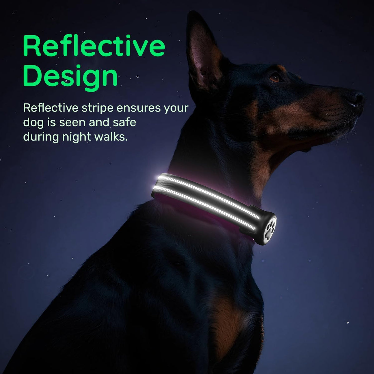 Premium Airtag Dog Collar，With IP68 Waterproof Airtag Holder,Black,S