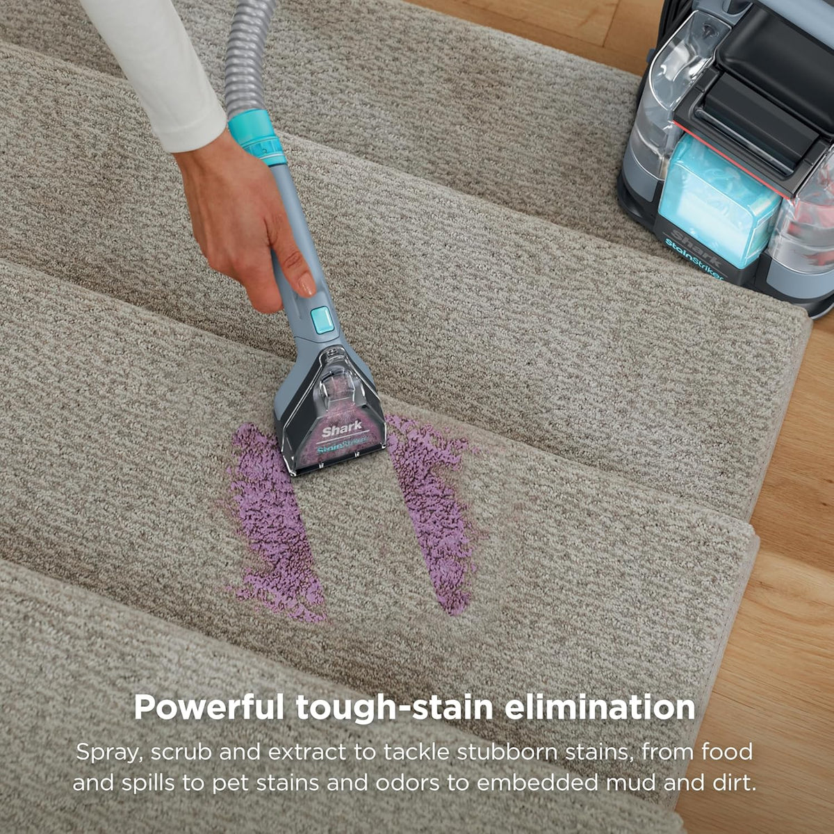 Shark Stainstriker Portable Carpet/Upholstery Cleaner, 4 Tools, PX202BRN