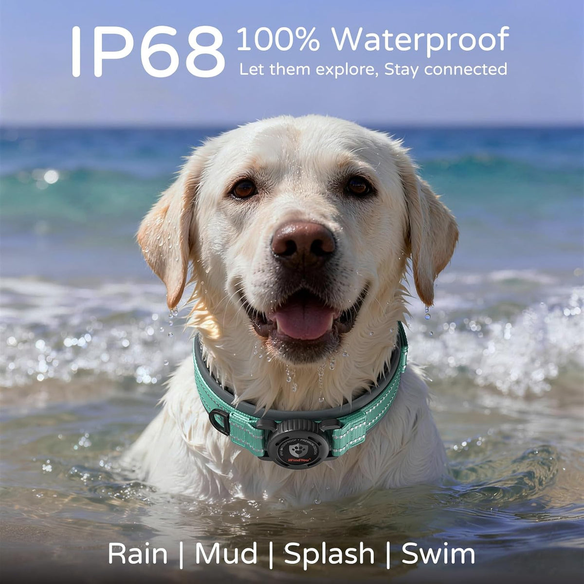Heavy Duty Dog Collar with Airtag Holder, IP68 Waterproof, M Cyan