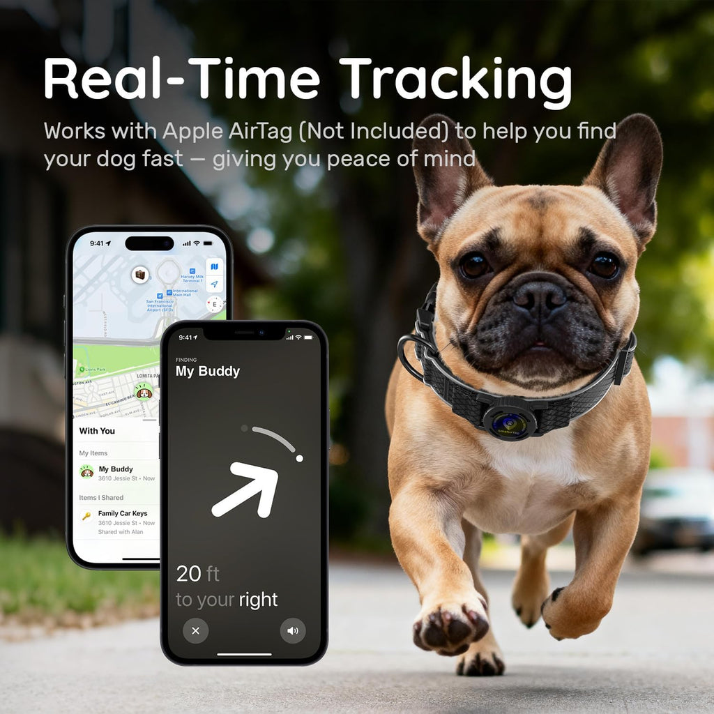 Airtag Dog Collar with Airtag Holder, IP68 Waterproof (Black, M)