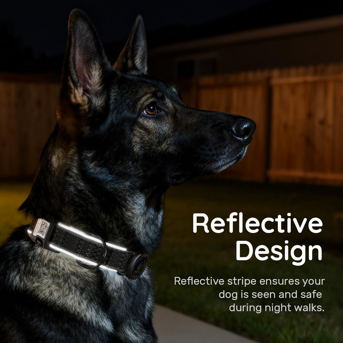Airtag Dog Collar with Airtag Holder, IP68 Waterproof (Black, M)
