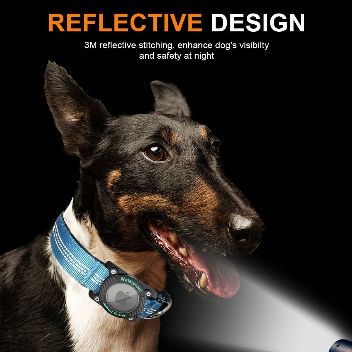 Refective Dog Collar with Holder Compatible with Airtag, Blue, L