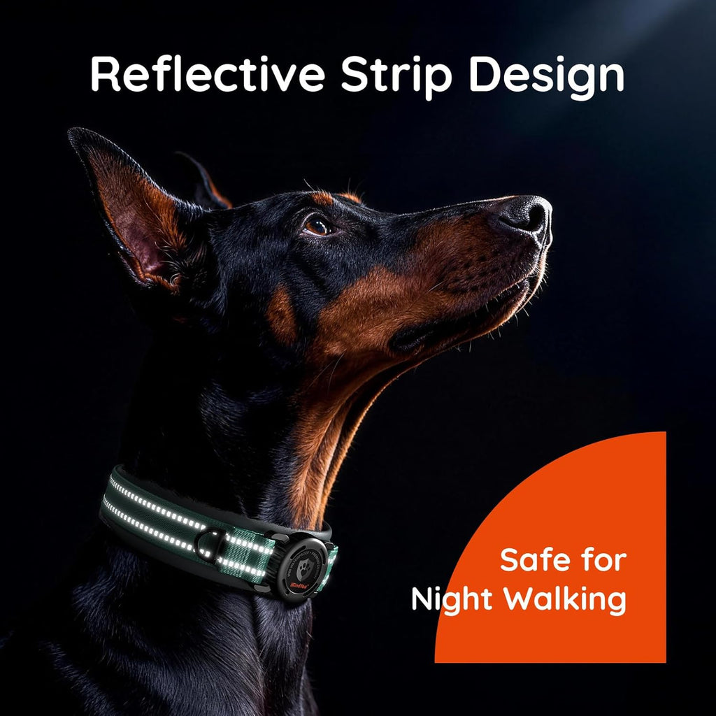 Heavy Duty Dog Collar with Airtag Holder, IP68 Waterproof, M Cyan