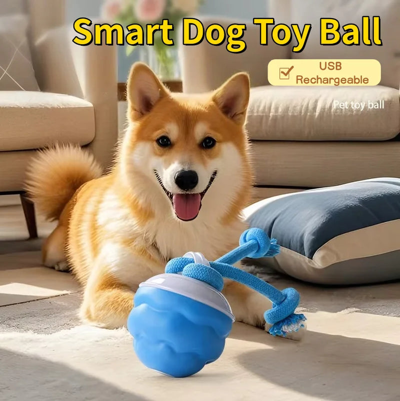 Interactive Electronic Dog Toy Ball with Automatic Movement and Bouncing Features, USB Rechargeable, Ideal for Puppies and Chewing Activities