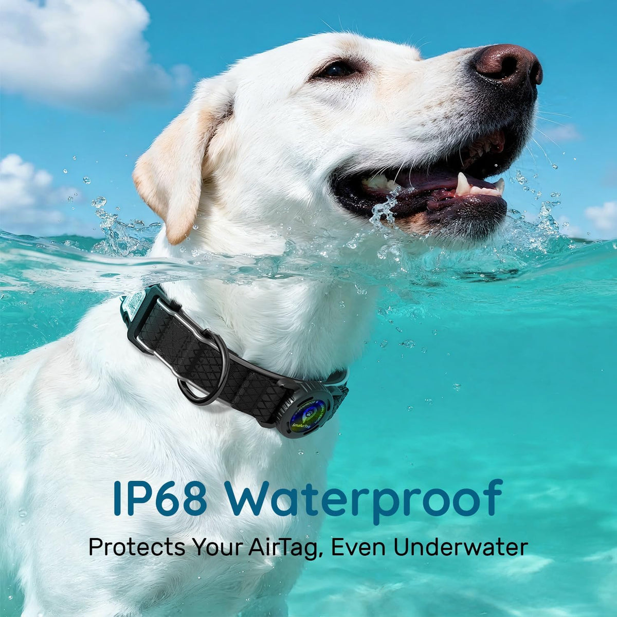 Airtag Dog Collar with Airtag Holder, IP68 Waterproof (Black, M)
