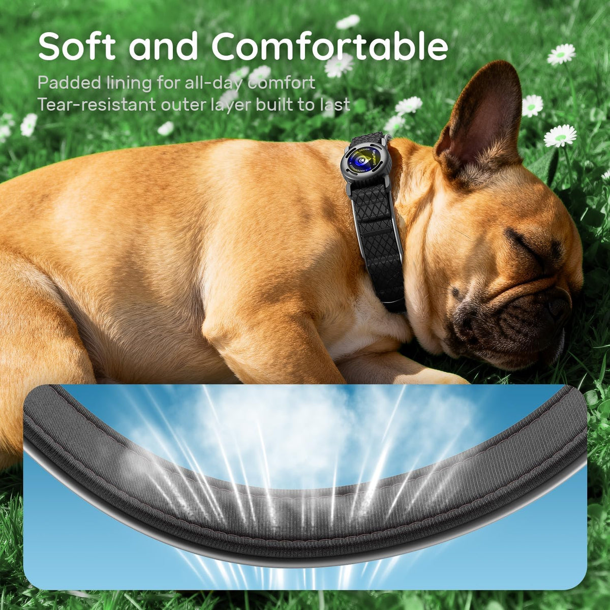 Airtag Dog Collar with Airtag Holder, IP68 Waterproof (Black, M)