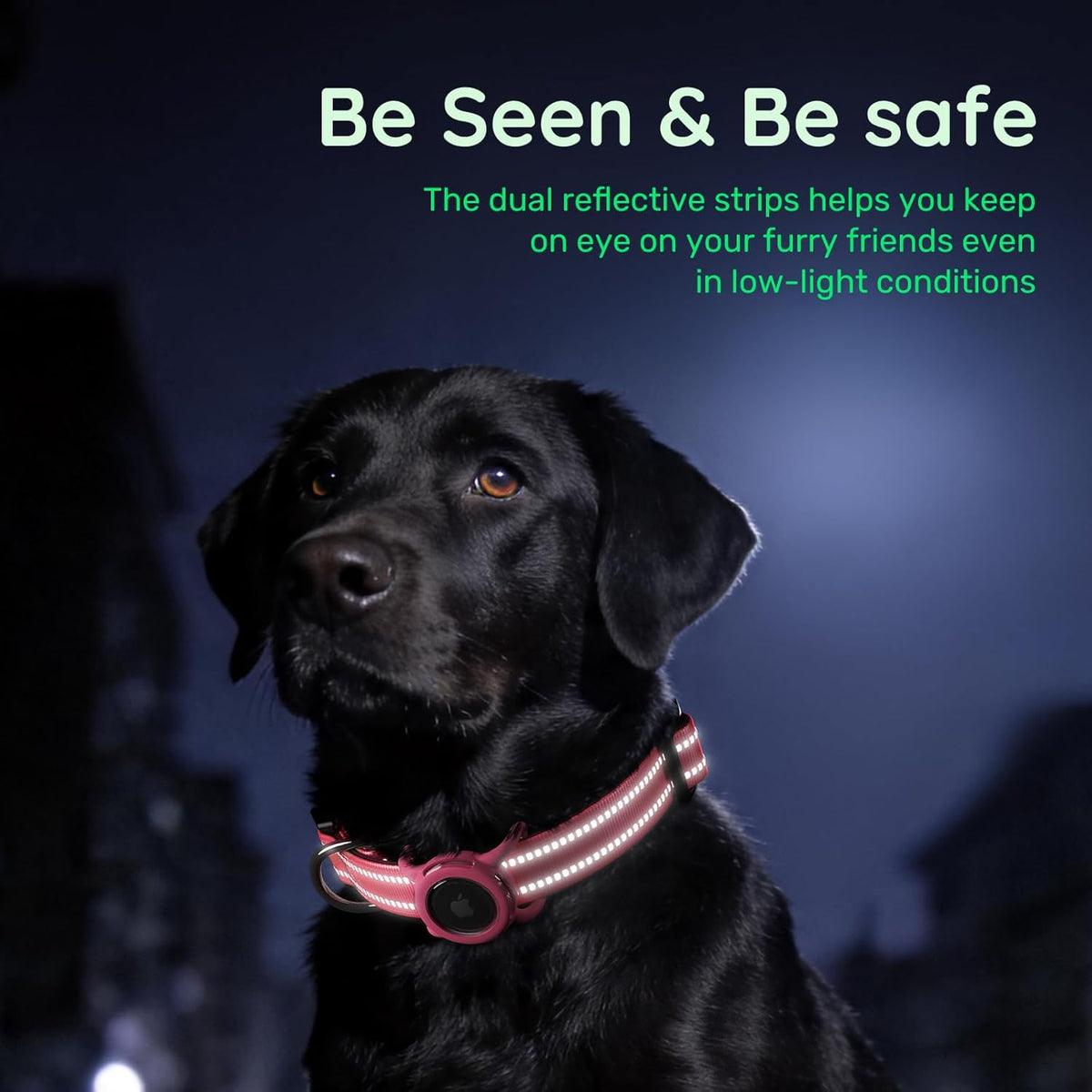 Airtag Dog Collar for Large Dogs, Reflective Dog Collar with Airtag Holder